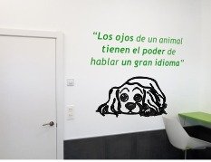 Cachorro Beagle