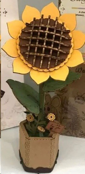 girasol planta