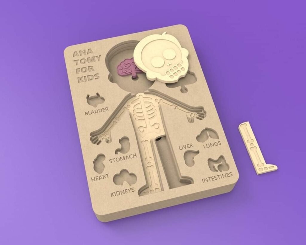 Juego de anatomia para niños