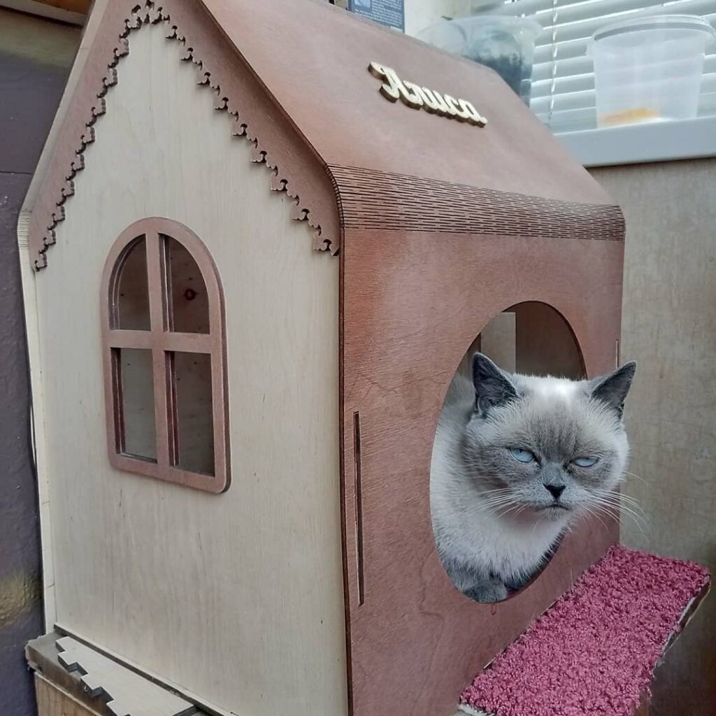 CASA 2