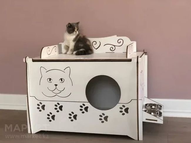 CASA 5