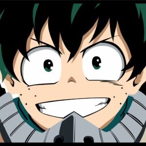 20-Boku no hero