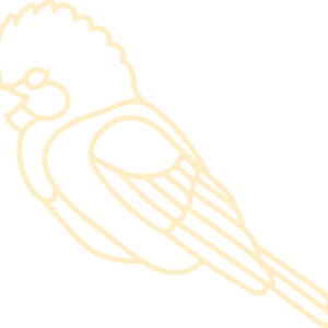 Kingfisher-Bird-3D-Layered-SVG-37412866
