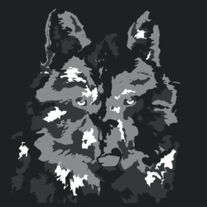 Wolf-Face-Multilayer-Shadow-Box-24807149 - PNG