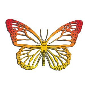 MARIPOSA