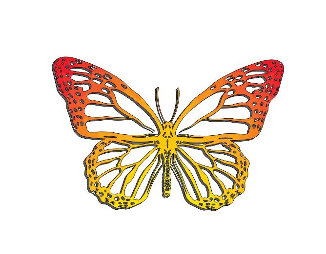 MARIPOSA