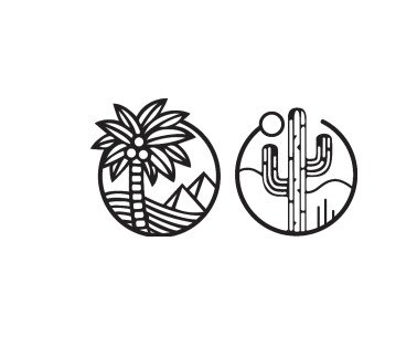 Palmera y Cactus