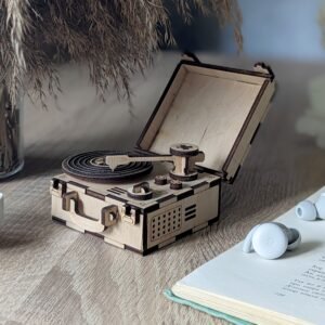 Reproductor de Discos de Vinil (Decorativo)